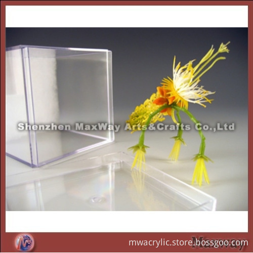 Transparent rectangle polished acrylic/PMMA adornment display container/vessel/receptacle/box